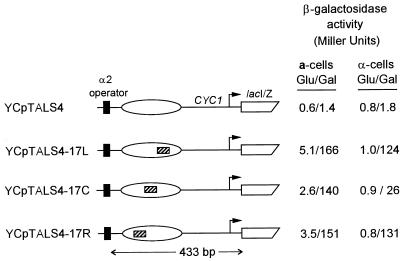 FIG. 6