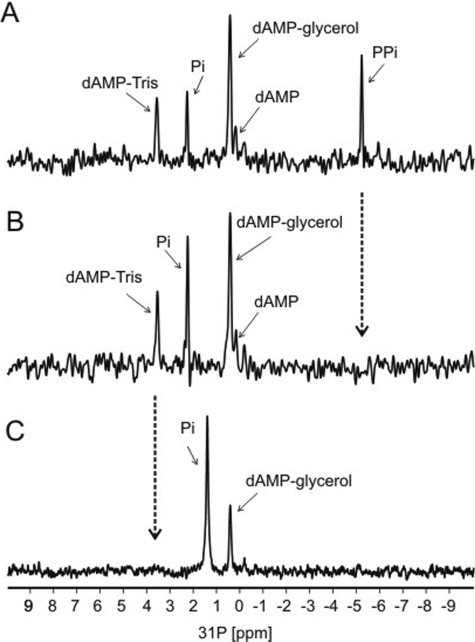 FIGURE 4.