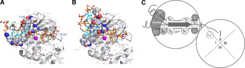 Figure 5.