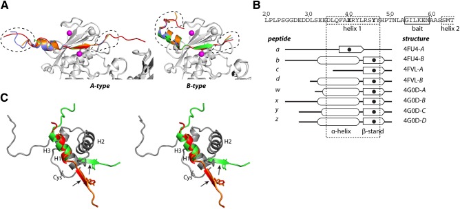 Figure 3.