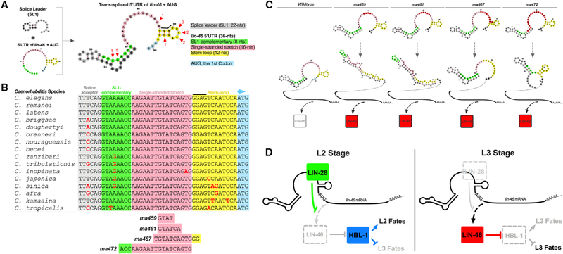 Figure 4.