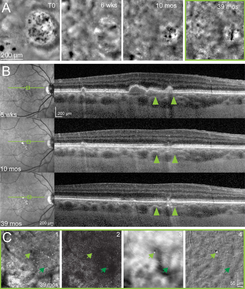 Figure 6.