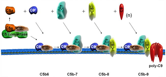 Fig. 2