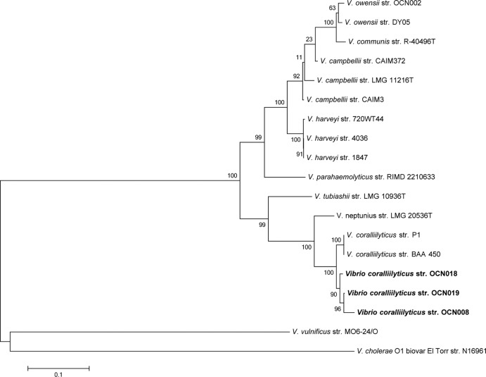 FIG 1