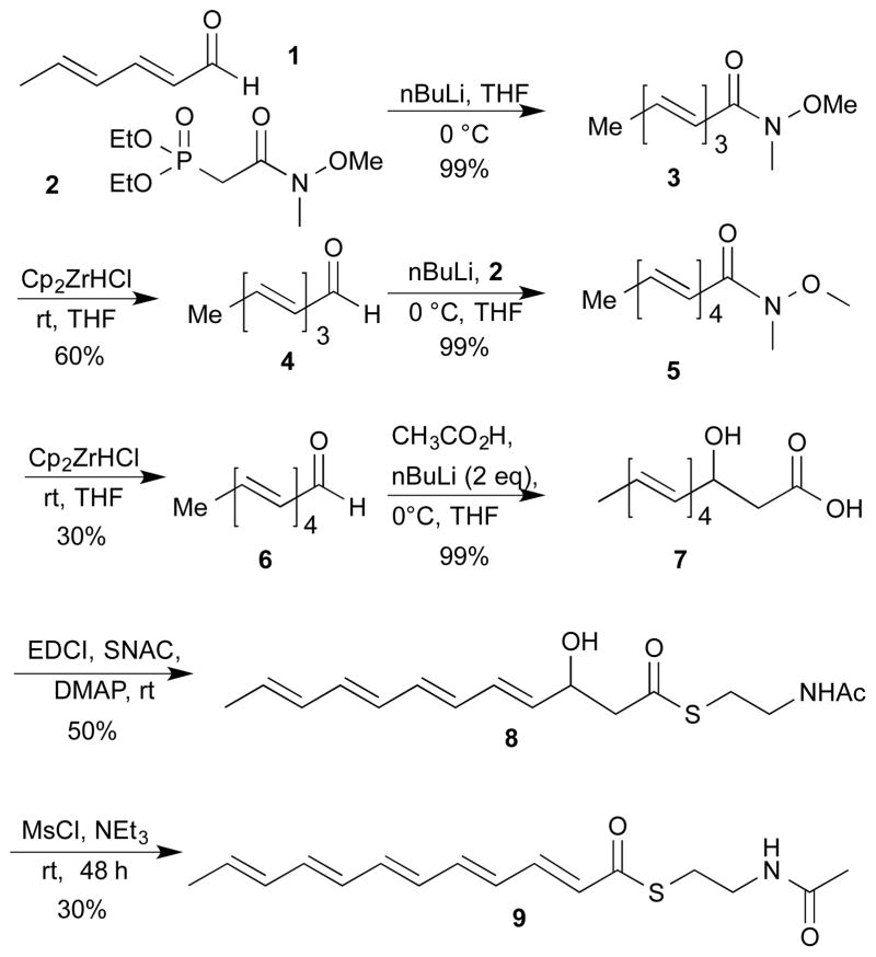 Scheme 1