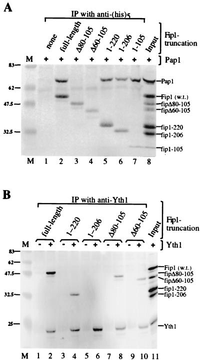 FIG. 3