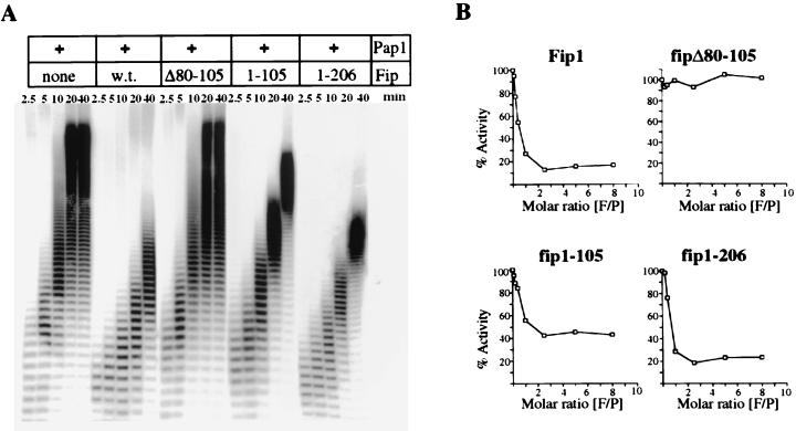 FIG. 5