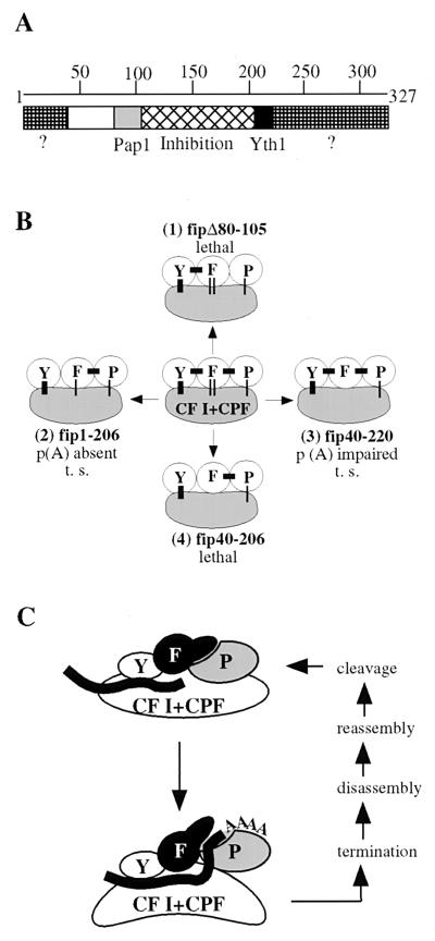 FIG. 7