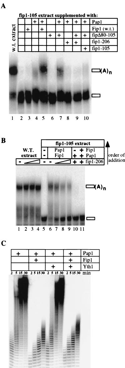 FIG. 6