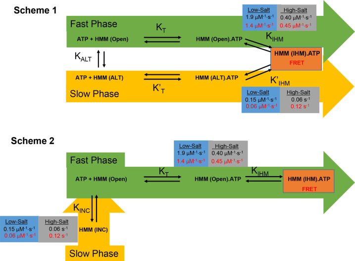 Figure 4—figure supplement 3.