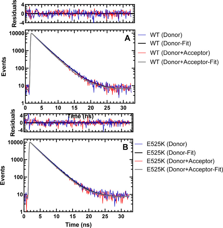 Figure 5—figure supplement 1.