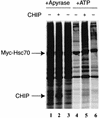 FIG. 7.