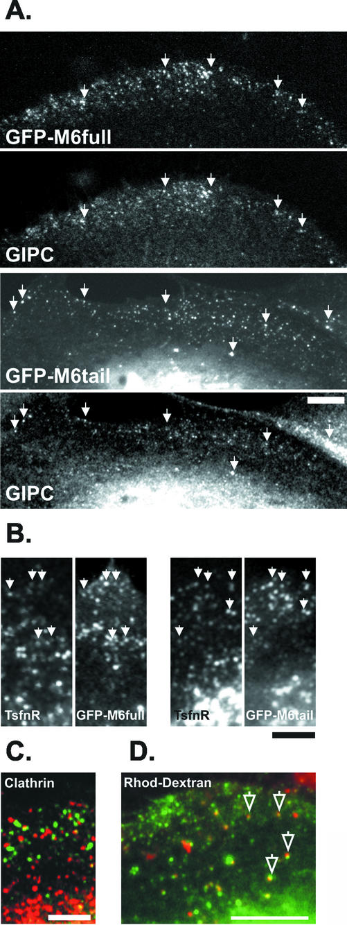 Figure 6.