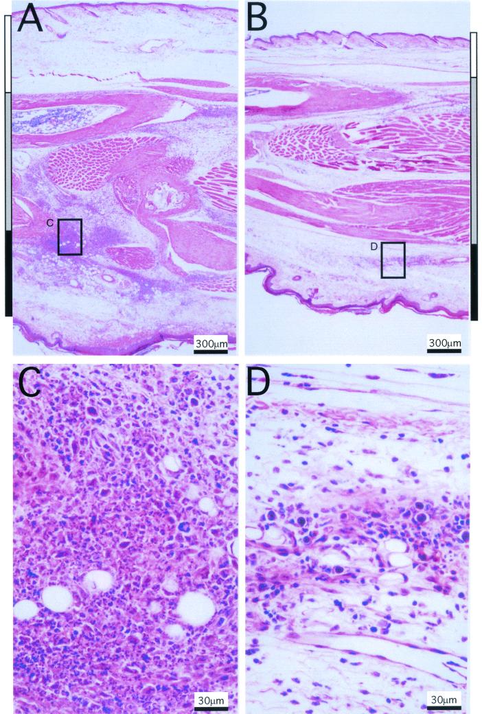 FIG. 8