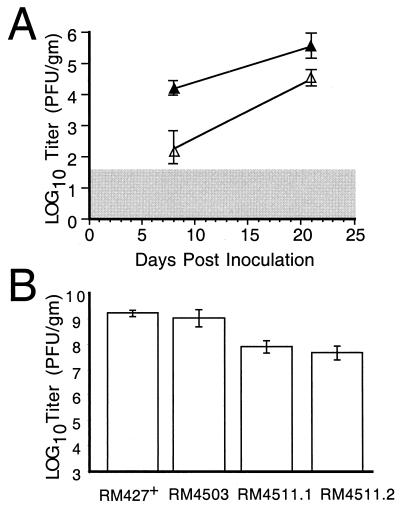 FIG. 6