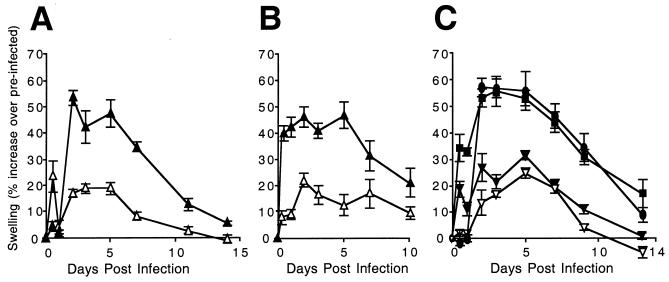 FIG. 7