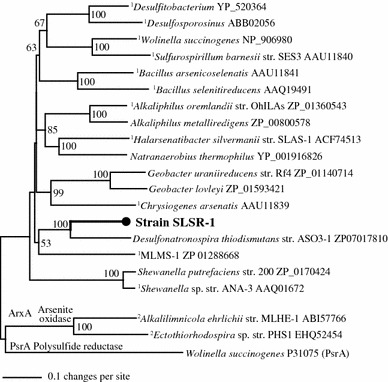 Fig. 7