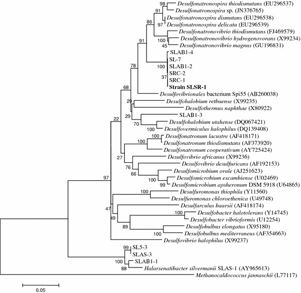 Fig. 5