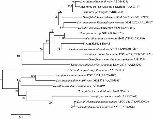 Fig. 6