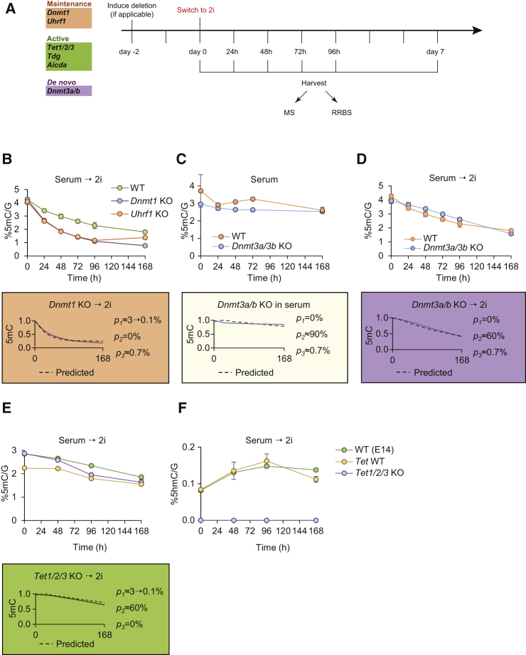 Figure 2