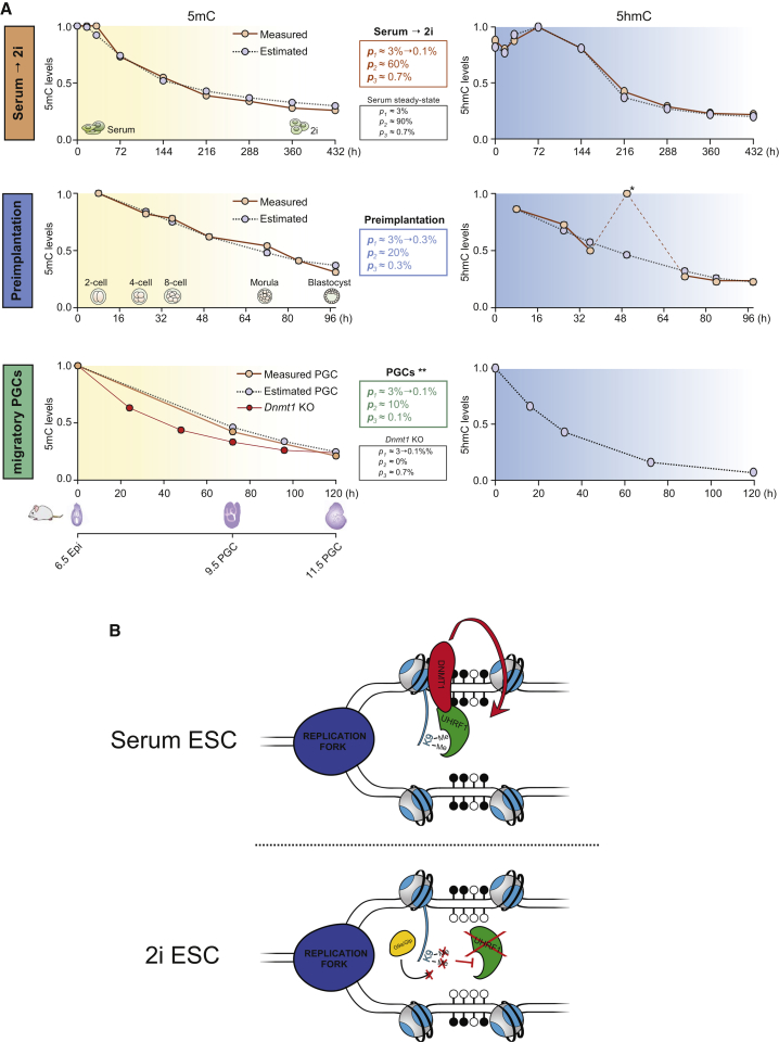 Figure 6