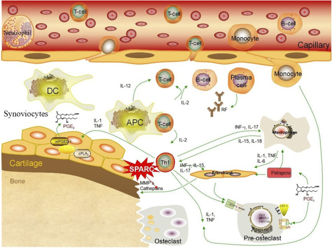 FIGURE 4