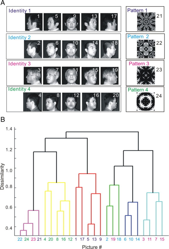 Figure 6.