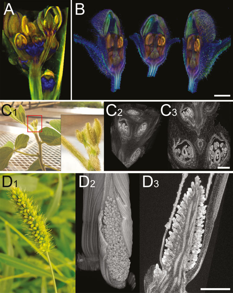 Fig. 2.