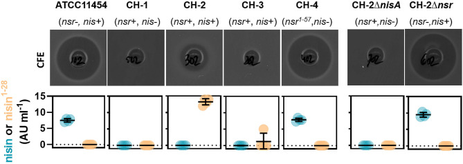 Figure 5