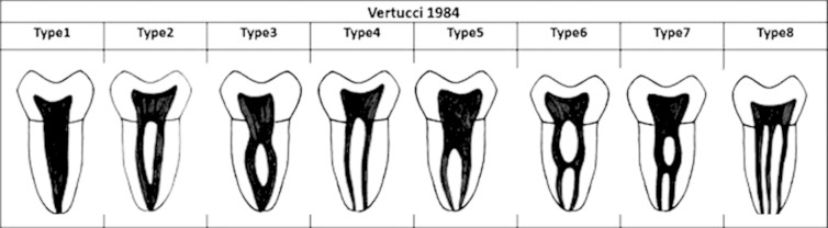 Fig.1