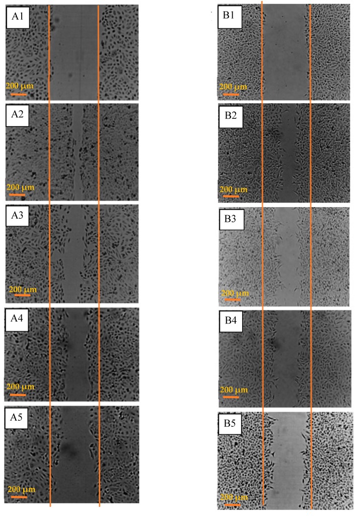 Figure 5