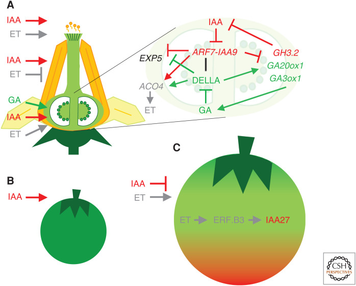 Figure 4.