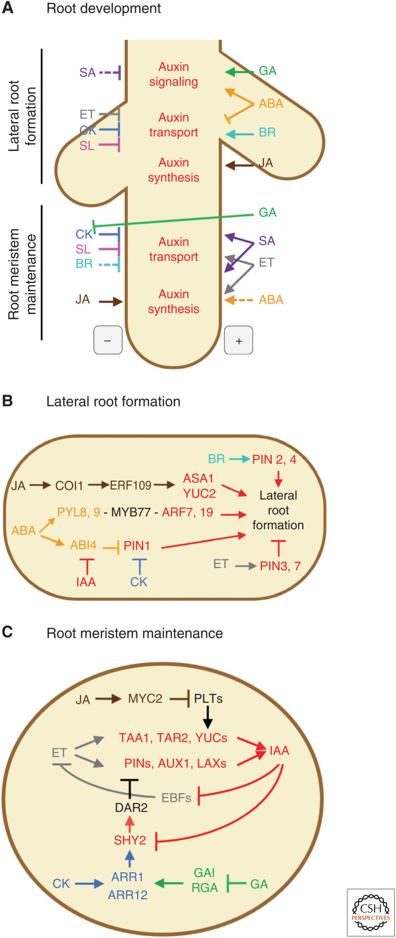 Figure 2.