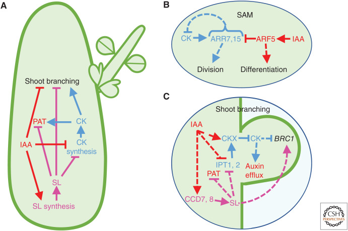 Figure 3.