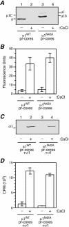 FIG. 5.