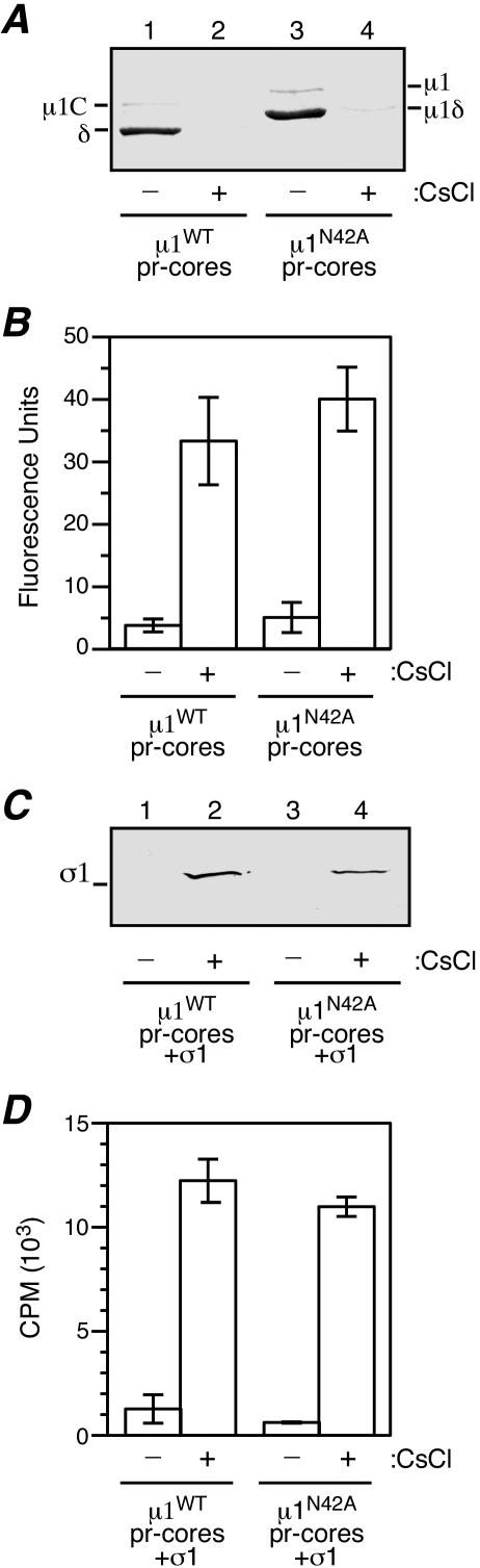 FIG. 5.