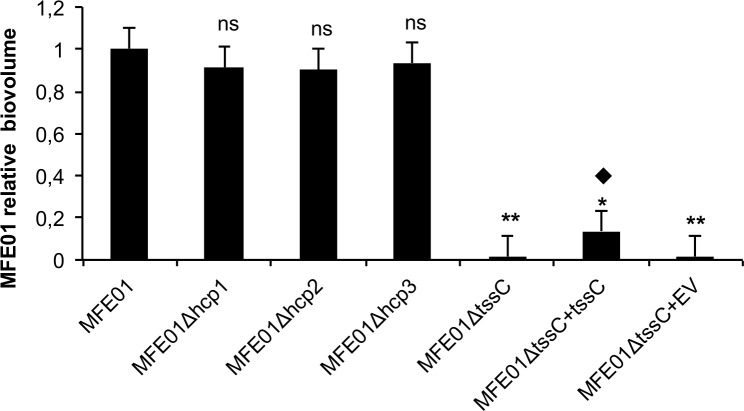 Fig 5