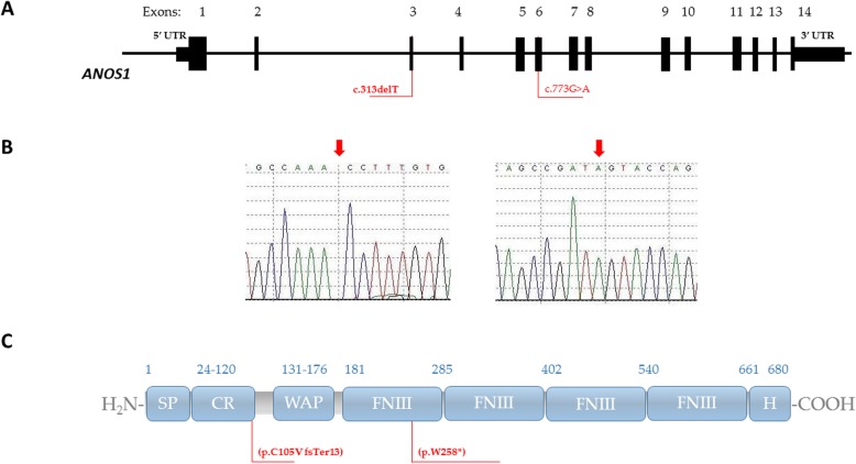 Fig. 1