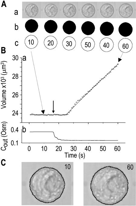 Figure 9.