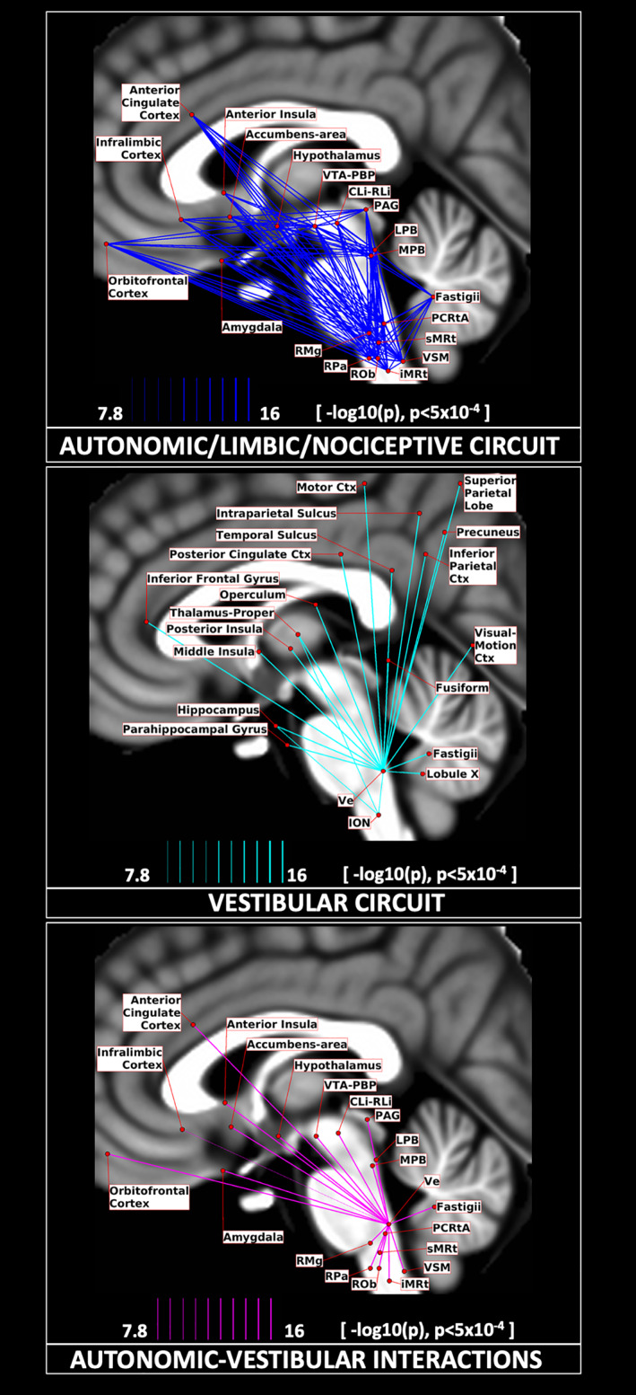 FIGURE 11