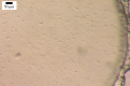 Figure 3.