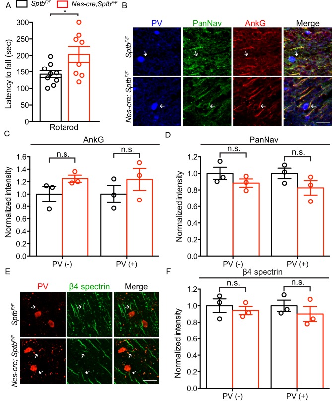 Figure 2—figure supplement 1.