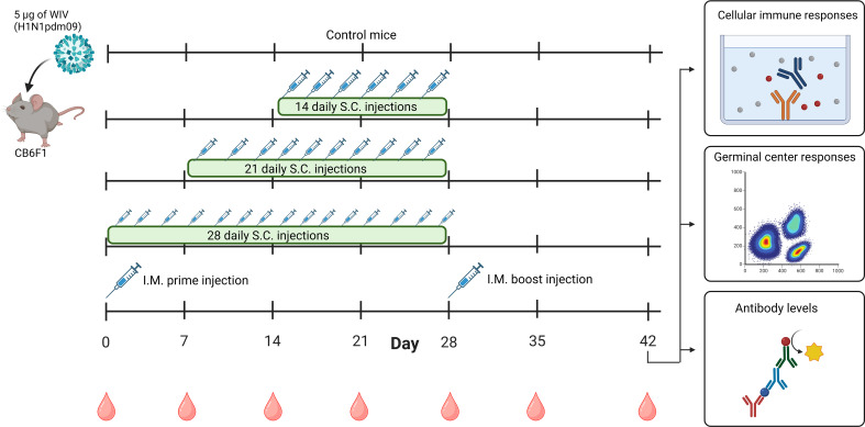 Figure 1