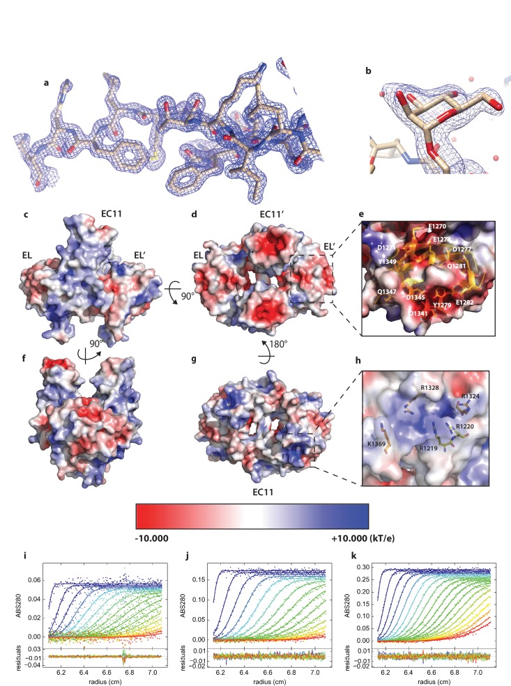 Figure 3—figure supplement 1.