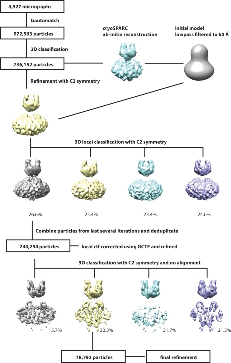 Figure 4—figure supplement 1.