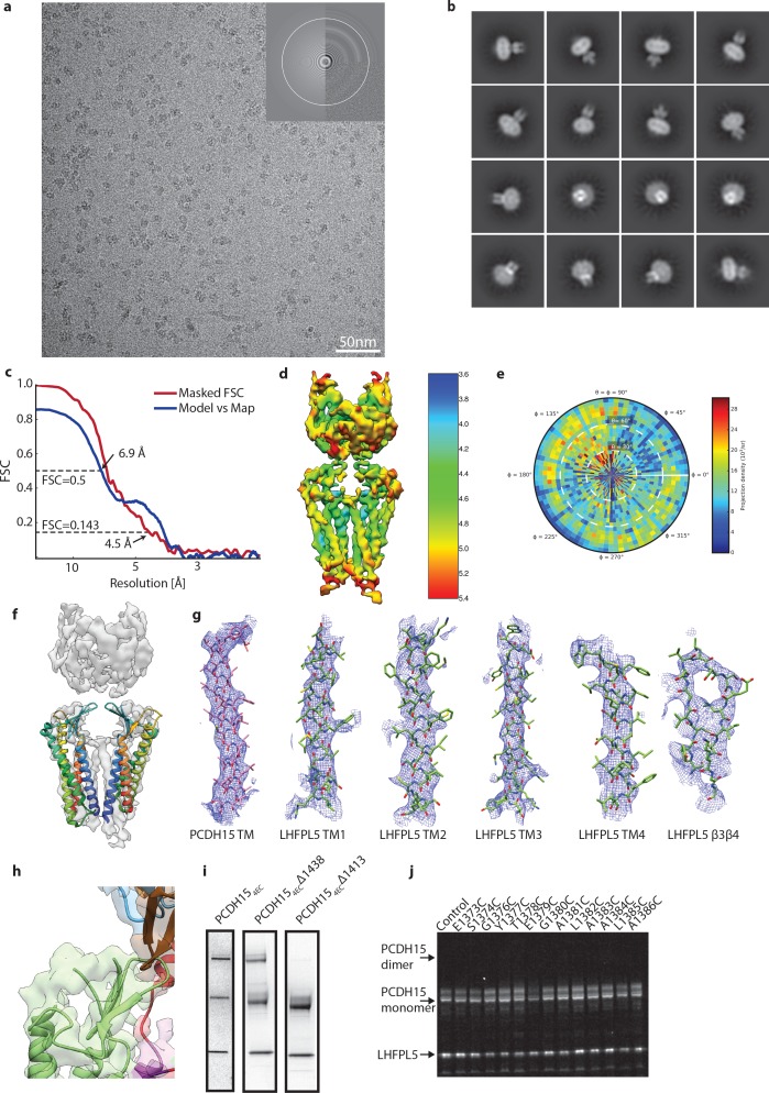 Figure 4—figure supplement 2.