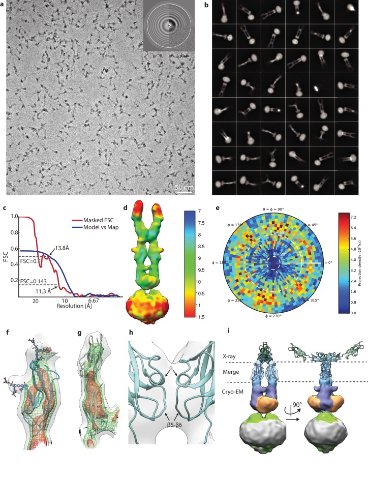 Figure 2—figure supplement 2.