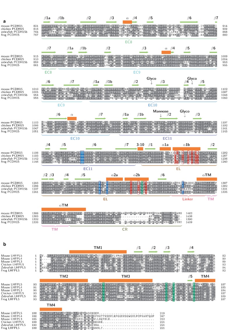 Figure 5—figure supplement 1.