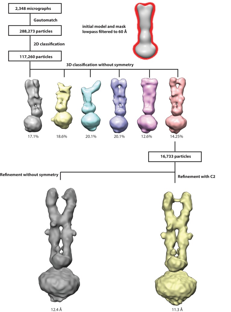 Figure 2—figure supplement 1.