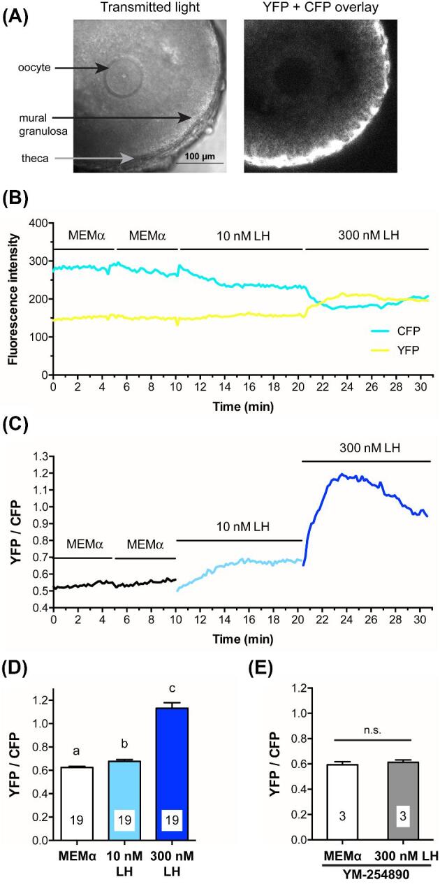 Figure 4.